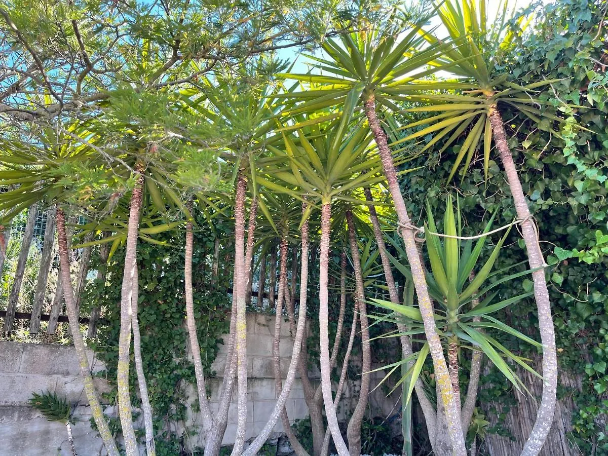 Casa Vacanze SantʼAntìoco